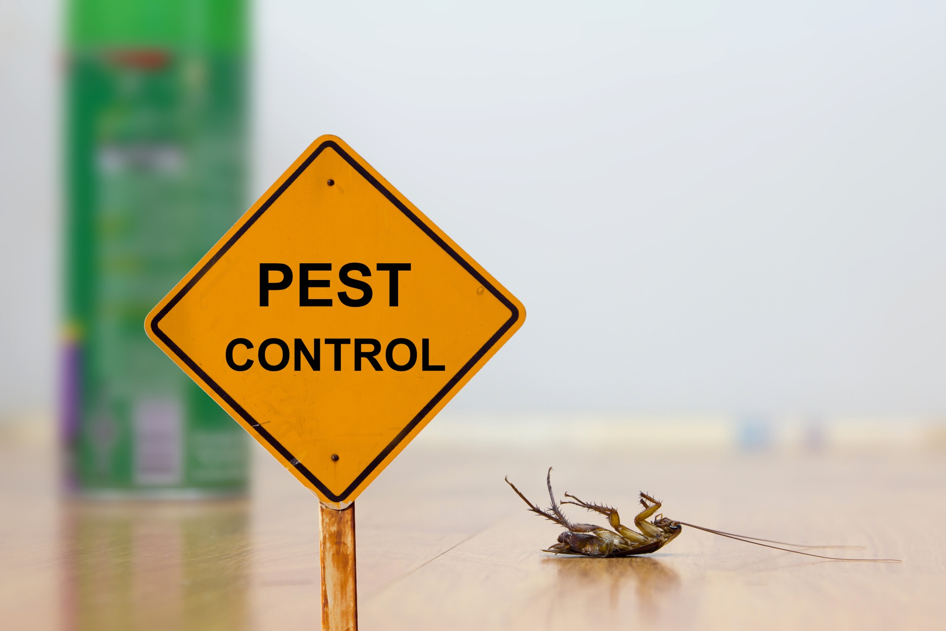 24 Hour Pest Control, Pest Control in Finsbury Park, Manor House, N4. Call Now 020 8166 9746